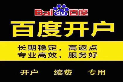 成功案例：托管SEM竞价在金融行业的应用